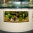 table aquarium set premium glass