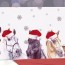 horse christmas cards 2021 including