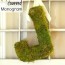 diy moss covered monogram tutorial day