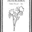 tennessee state flower coloring page