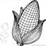 corn 3 coloring page for kids free
