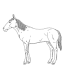 horse coloring pages print or