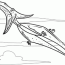 pteranodon coloring page coloring home