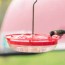 classic and safe hummingbird nectar recipe