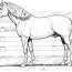 wild horse coloring pages clip art