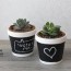 15 diy flower pot ideas