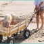 fun diy beach cart projects to try this