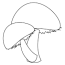 printable mushroom coloring pages for kids
