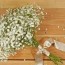 how to make diy baby s breath bouquets