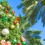 holidays in alachua and marion counties