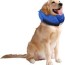 buy kittystar soft inflatable dog cone