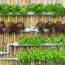 how to build a hydroponic garden
