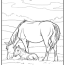 30 horse coloring pages 100 free