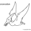 pteranodon coloring pages dinosaurs