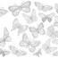 free butterfly coloring pages learn
