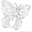butterfly coloring page isolated for