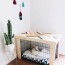 pet crate options that are totally