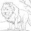 african lion coloring page free