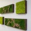 plant wall art and a bath mat