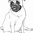 free pug coloring pages download and