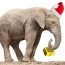 40 white elephant gifts and gift ideas