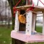 diy bird feeder to make with kids