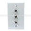 port coax cable tv f type wall plate