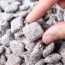 how to make puppy chow