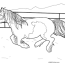 horse coloring pages pick and print