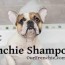 best french bulldog shampoo for health