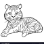 cartoon cute tiger coloring page