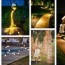 25 best landscape lighting ideas and