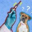 bordetella vaccine for dogs