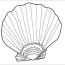 sea shell coloring pages for