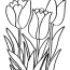 free flower coloring pages coloring