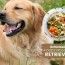 golden retriever homemade dog food