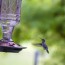 diy hummingbird feeder how to make a