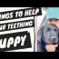 what is good for puppies teething