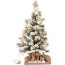 christmas tree grafted 60 cm with