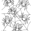 spiders on spider web coloring page
