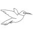 hummingbird coloring pages for your toddler