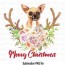 merry christmas chihuahua sublimation