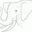 realistic elephant face coloring page