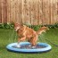 dog splash pad sprinkler pool