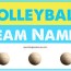 volleyball team names that are sure to