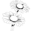 daisy bunch coloring pages hellokids com