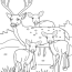 free printable deer coloring pages for