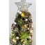 succulent christmas tree in staten