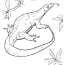 free coloring pages lizards download