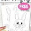 free to print bunny coloring page